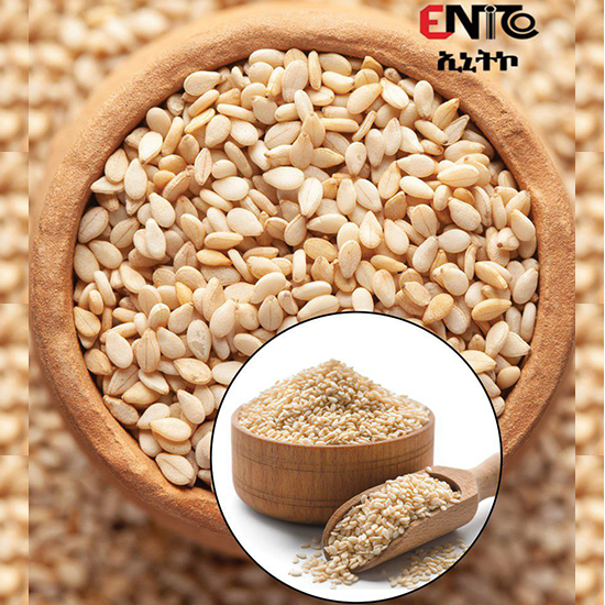 Oil seeds