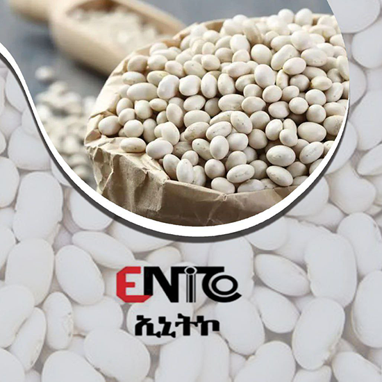 Pulses